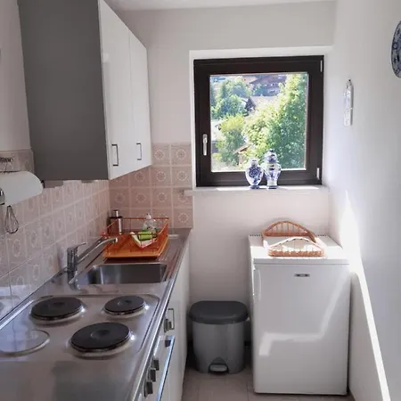 Apartmenthaus Panorama 公寓 *