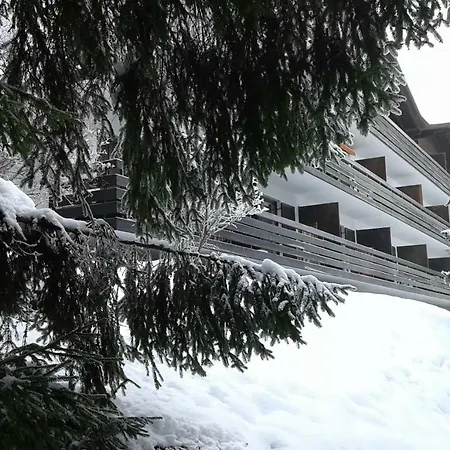 Apartmenthaus Panorama Apartament Seefeld w Tirolu